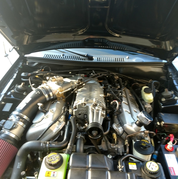 Meet your Posher, David - Picture 1 of 1